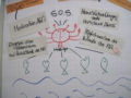 Coaching Themen Kompetenz